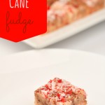 Candy Cane Fudge Recipe: DIY Favors