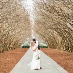 Anna and Awad’s $3,000 DIY Dallas Arboretum Wedding