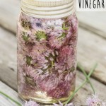 DIY Chive Vinegar