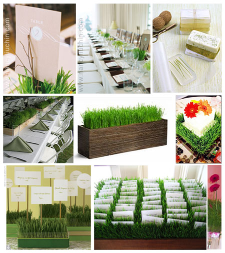 wheatgrass centerpiece