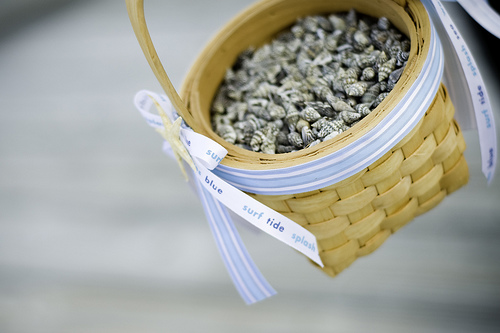 shells for beach wedding shells confetti