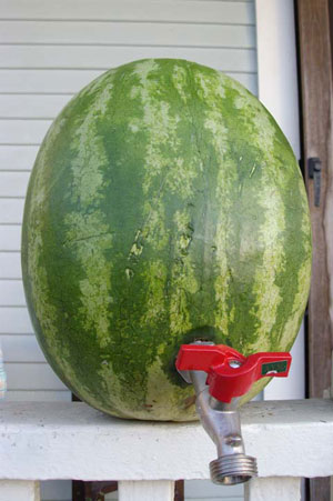 watermelon keg