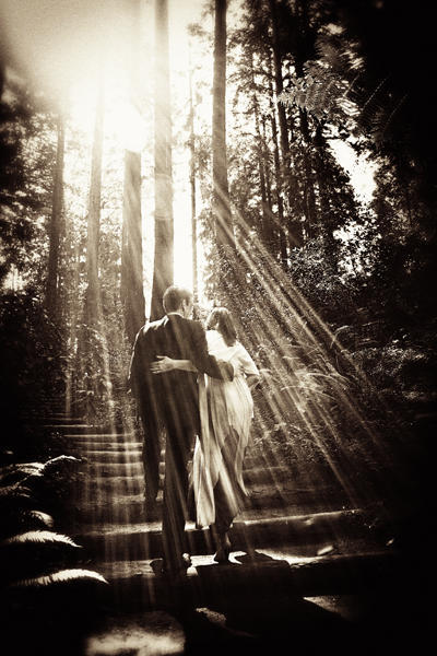 bride and groom in forest