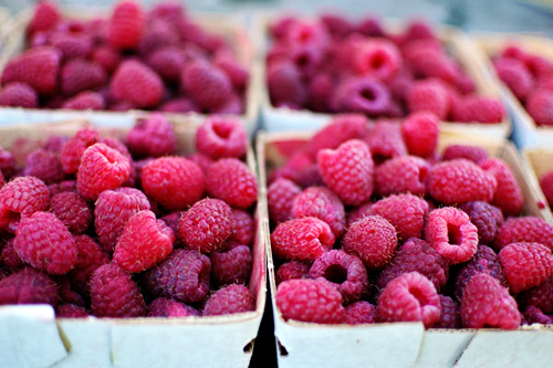 fresh picked raspberries