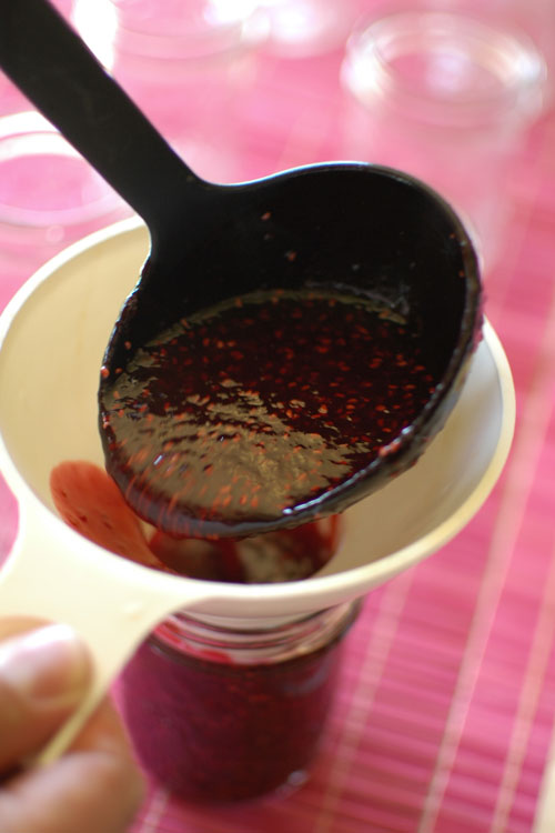 homemade raspberry jam