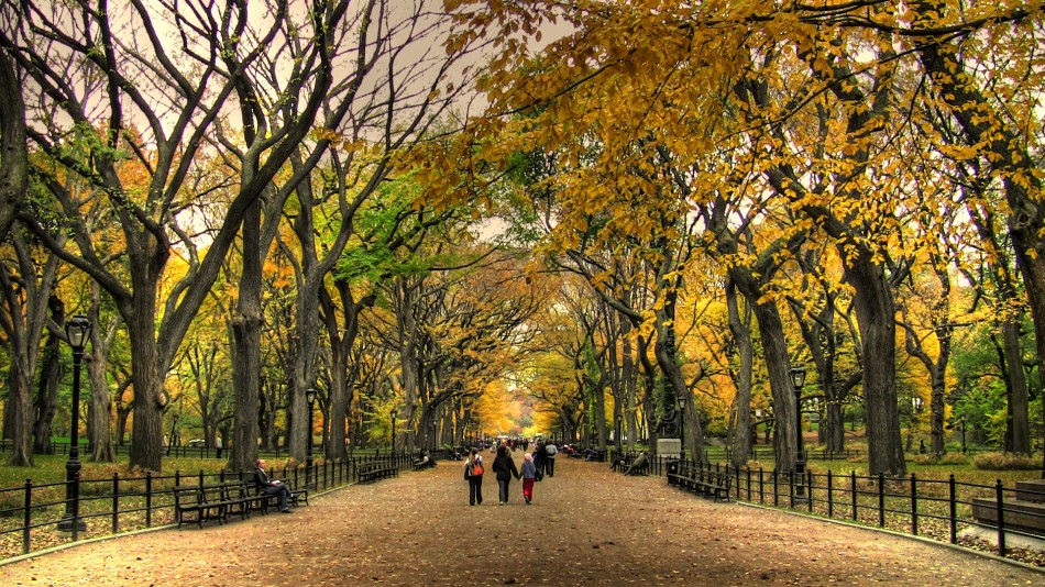 central park in the fall