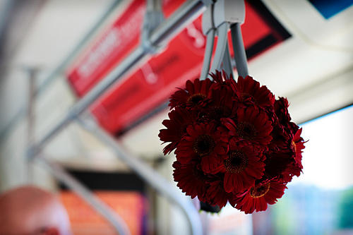 red bridal flowers