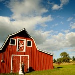 vancouver island wedding