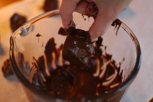 sponge taffy dipped in chocolate