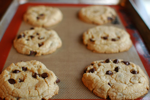 chocolate chip cookies