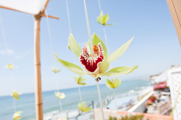 dangling flowers