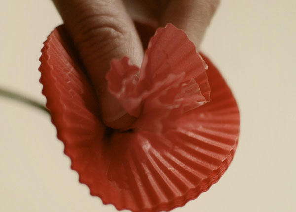 carnations made from paper