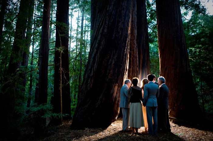 Big Sur Wedding