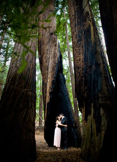 park in california wedding