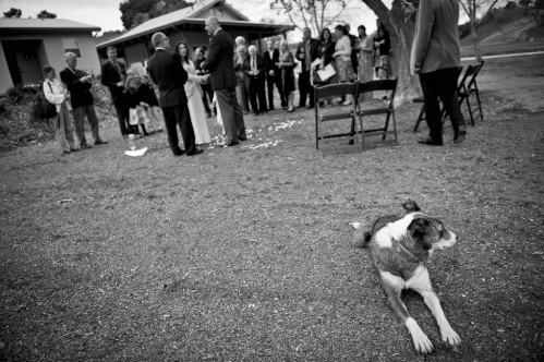 outdoor winery wedding