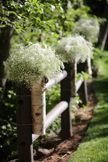 Baby's breath pew decorations