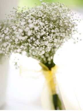 baby's breath wedding flowers