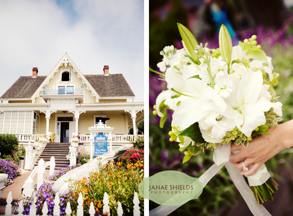 mendocino wedding