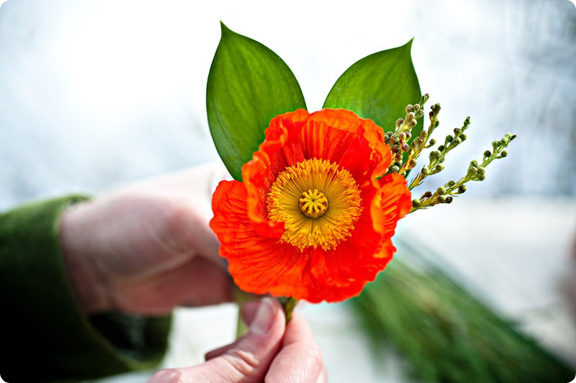 poppy boutonniere