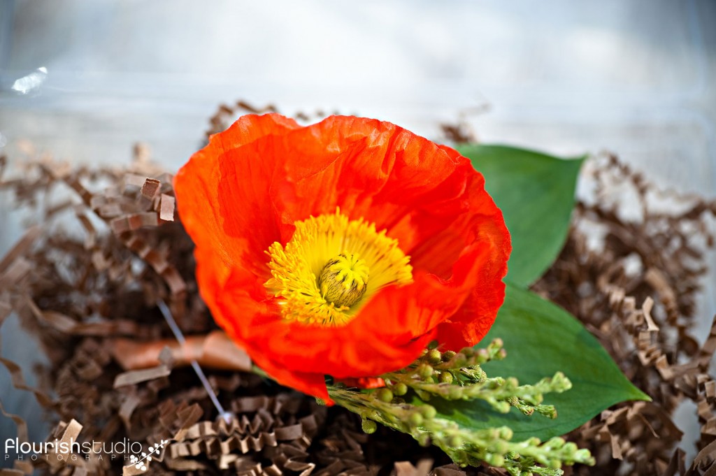 poppy boutonniere