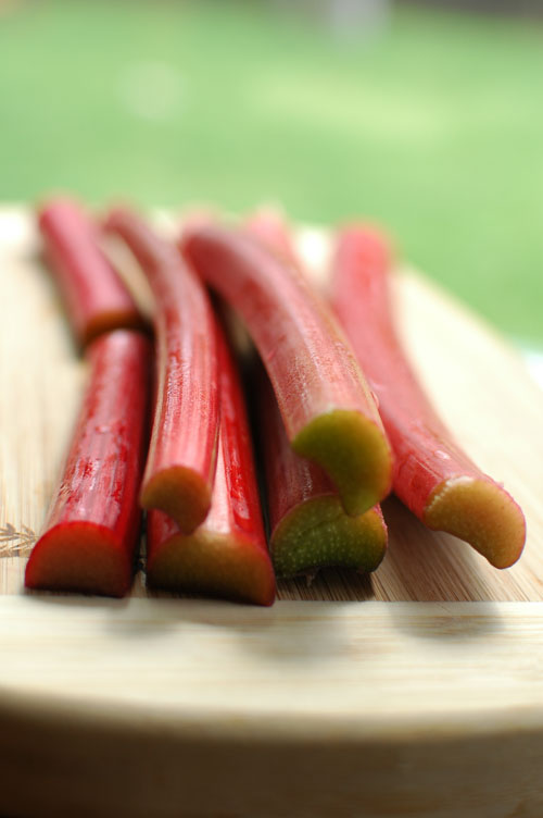 rhubarb stalks