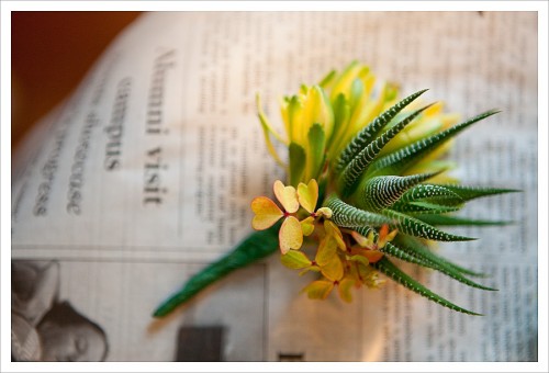 boutonnierre