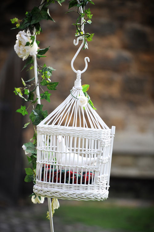 dove release