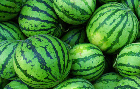 watermelon