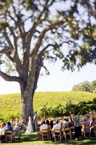 outdoor vineyard wedding ceremony