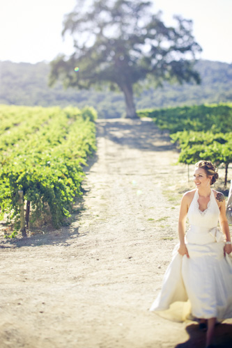 bride in california vineyard