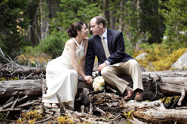 Những bức ảnh cưới lấy bối cảnh là khu rừng hoang sơ được chụp bởi nhiếp ảnh gia April O' Hare. 