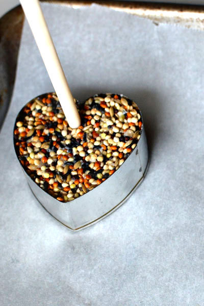 birdseed wedding favors