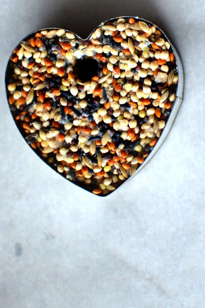 birdseed wedding favours