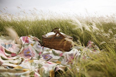 beach-picnic