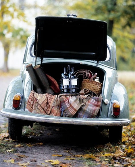 vw-picnic