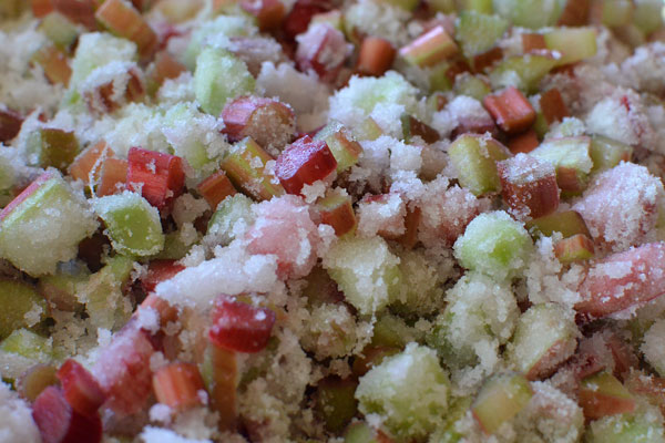 rhubarb diced