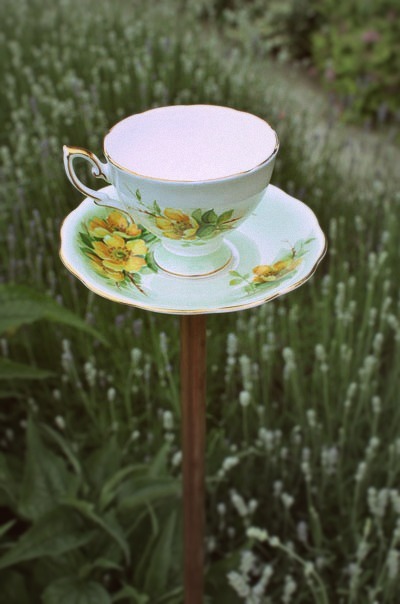 teacup birdfeeder