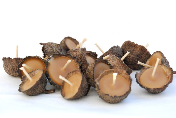 acorn candle