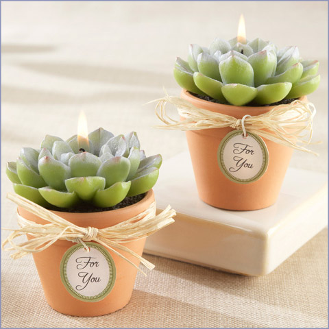 succulent candles