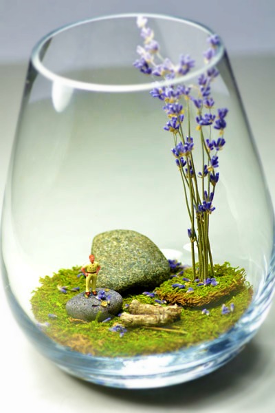 terrarium