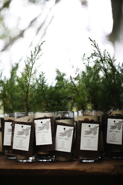 sapling favors