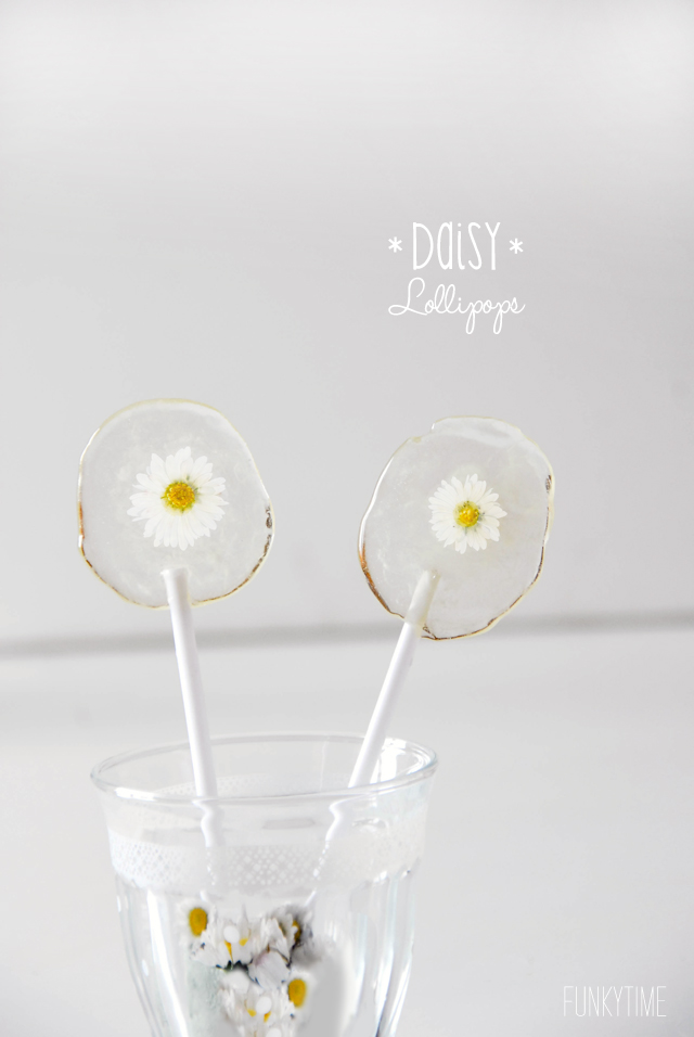 daisy lollipops