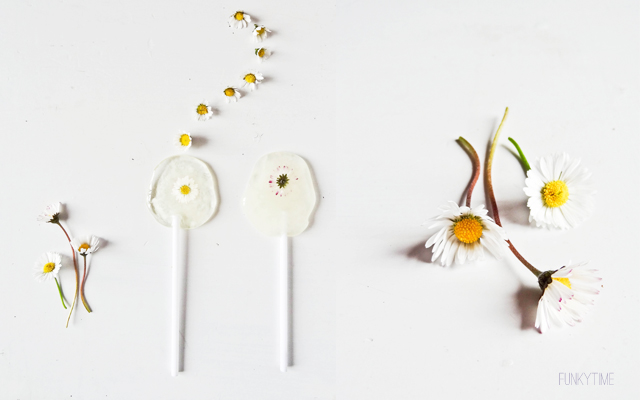 daisy lollipops