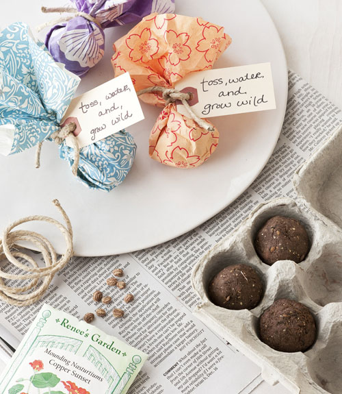 diy seed bombs