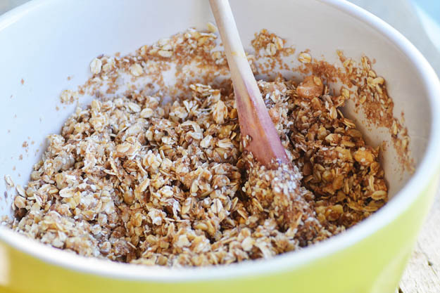 mixed granola