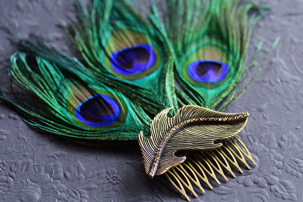 peacock hair fascinator