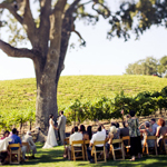 Vineyard Weddings