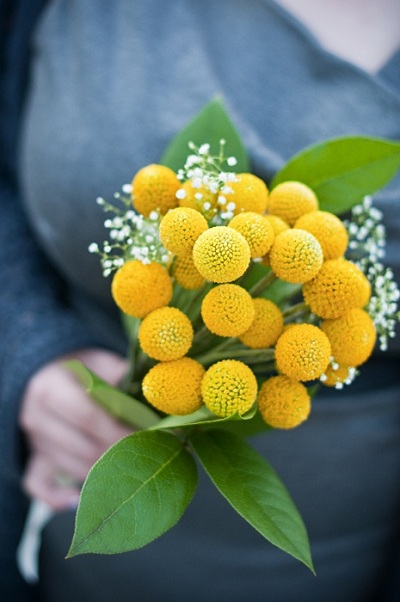 billy button bouquet