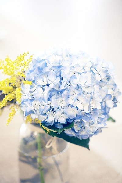 Blue hydrangea centerpieces