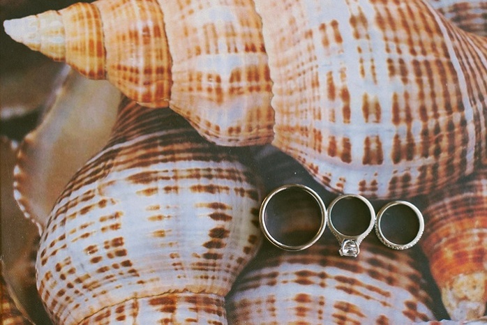 beach-wedding-ring-shot-seashells